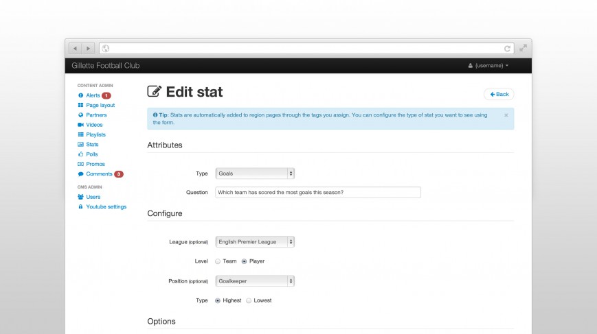Edit stat page from the CMS prototype