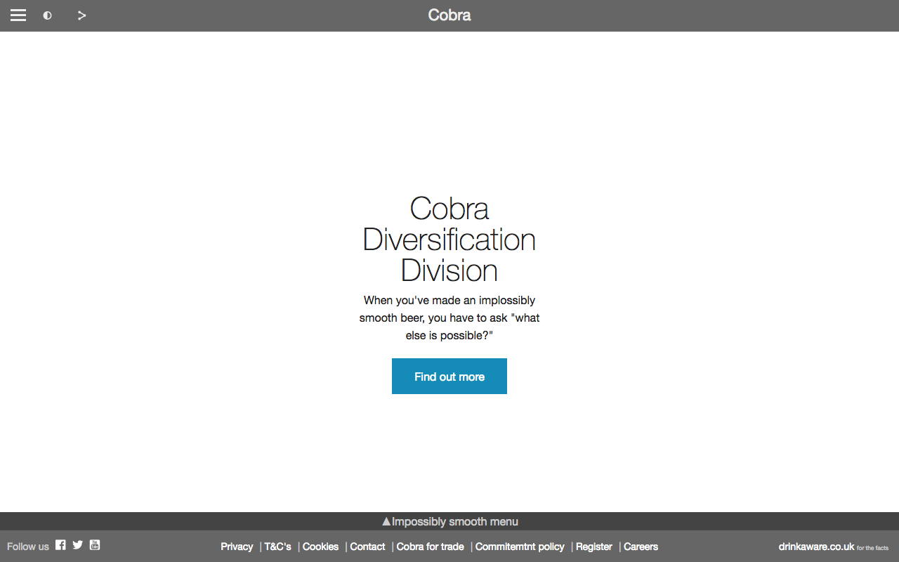 Cobra Wireframe 3